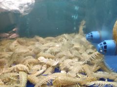 -浙C老邻舍(西城海错店)