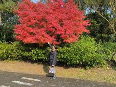 -上海海湾国家森林公园