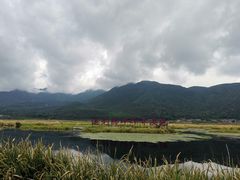 -腾冲北海湿地