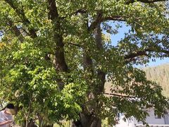 -西昌邛海湿地-月亮湾景区