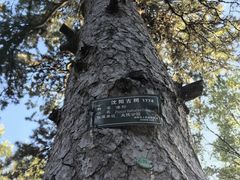 -北陵公园