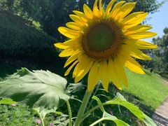 -福建鲤鱼洲酒店