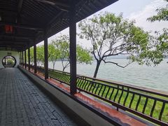 -无锡蠡湖国家湿地公园-蠡园