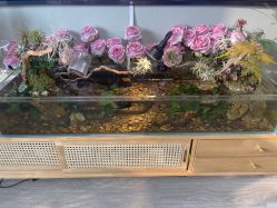 点击看大图 -Lumi露米·美甲美睫品质店