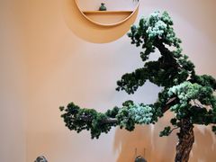 -璞禅足道(观音桥旗舰店)