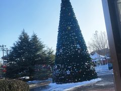 -普兰达德国餐厅·德式脆皮烤猪肘·自酿啤酒(观唐店)