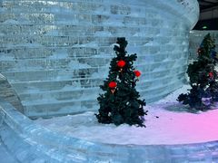 -宁波冰雪大世界(北仑区)