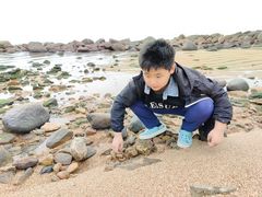 -广东惠东海龟国家级自然保护区