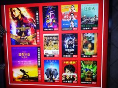 -奥斯卡升龙国际影城(RealD Cinema)