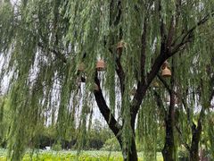 -百翠山居.家飨餐厅