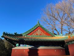 -颐和园