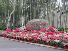 -上海醉白池公园