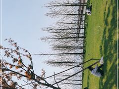 -苏州东太湖生态园