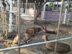 -迪茵湖田家舍生态农场