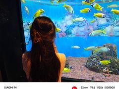 -海合安成都极地海洋公园
