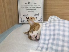 -达爱动物医院·犬猫分区·CT·复杂眼科(远洋山水分院)