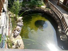 -中苑海韵