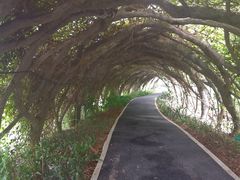 -广西壮族自治区药用植物园