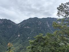 -九华山风景区