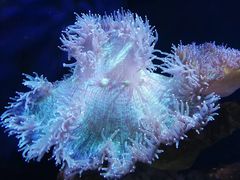 -厦门海底世界