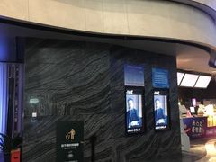 -万达影城(汉街万达广场IMAX店)