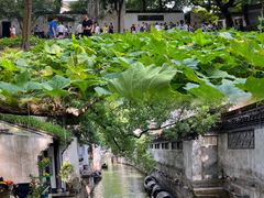 -上海鲁迅故居