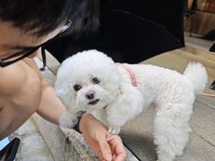 -J cafe 朝夕餐厅