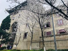 -武汉大学-樱园