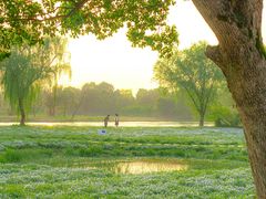 -西溪国家湿地公园