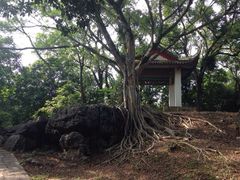 iphone_upload_pic-明秀园