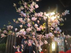 -河源万绿湖美思威尔顿酒店