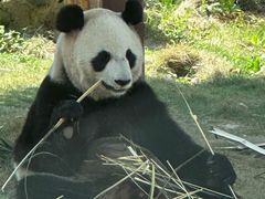 -杭州野生动物世界