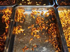 -昆虫窝子·特色云南菜(拓东路总店)