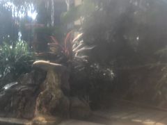 -郑州银基黄帝宫御温泉