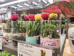-鹿岛生活(熙地港店)