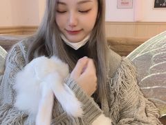 -猫猫幼稚园·撸猫·桌游·电玩