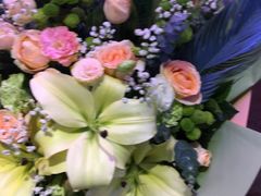 -花鸟鱼虫鲜花绿植市场(玉泉路店)