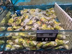 -舌尖上·霞浦滩涂海鲜·新闽菜(总店)