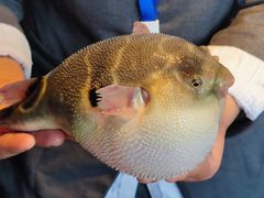 -永安鱼庄·镇江菜(东吴路店)