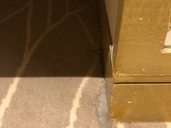 -扬州皇冠假日酒店