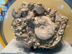 -湖南省地质博物馆