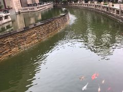 -苏州吴宫泛太平洋酒店
