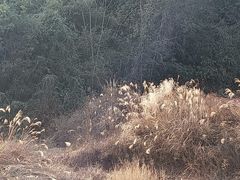 -马口生态公园