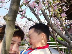 -滨湖塘西河公园