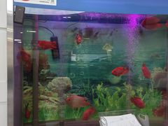 -雅悦齿科(顾村公园店)