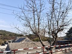 -红螺寺