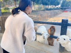 -安徽大青山野生动物世界