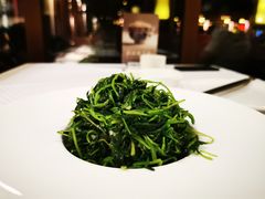 炝拌芥兰苗-骊宫坊