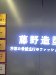 点击看大图 -藤野造型