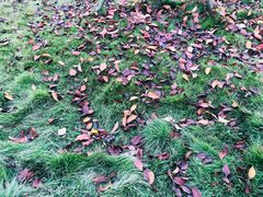 -白鹭湾湿地公园